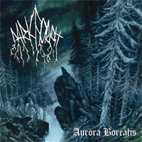 Dark Forest – Aurora Borealis