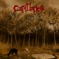 Capillaries – A Genocide Of Sins With Victims It Created