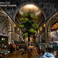 Solstice Coil – Natural Causes
