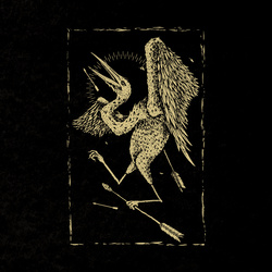 Barren Hope – Anaffa
