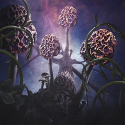 Blut aus Nord – Hallucinogen
