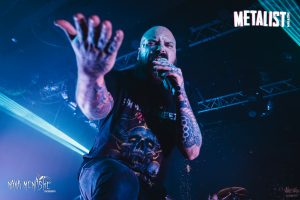 Insaint | BRCDS | Shredhead